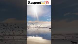 Respect 👏😯 #kgf #fect #reaction #shorts