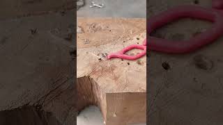 amazing useful tips and trick #viral #diy #wood #tools #tips