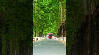 Best Photo editing #bestphotochallenge #photography #photoediting #photooftheday #easytricks