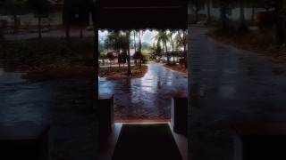 Rainy day instagram / whatsapp status 🌧️ #rain #status