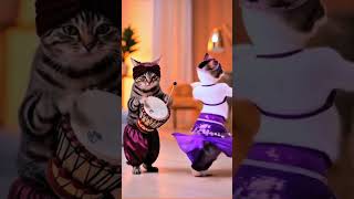 Cat dance #movemashup #bollywood