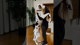 The love of woman and dog #cut #goldenretriever #dog #doglife #love #cutegirl #cute