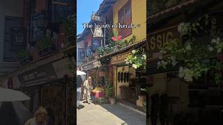 “This is Kerala 🇮🇳✨ Nature’s Paradise | #aesthetic#kerela#aestheticvibes