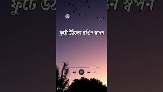 Tumi Ele | তুমি এলে | Bangla New Song |  #banglagaan  #song  #music #bongotune  #banglamusic  #love