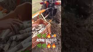 आमच्या कडे ऊस लागवड करुन मीळेल