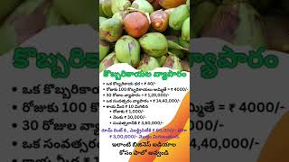 Telugu buisness ideas