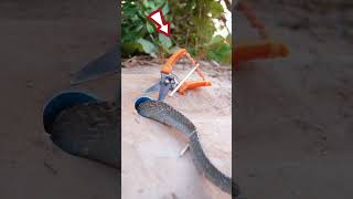 How To Trap Snake using Red Scissors #snake #snaketrap #trap #shortsnake #amazing #amazingsnake