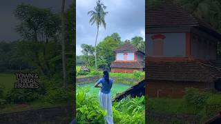 Scenic beauty of a traditional home in palakkad,kerala ..!! #kerala #palakkad #malayalam #nature