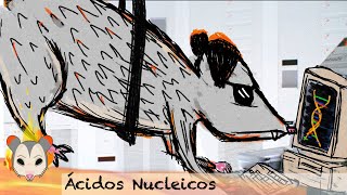 Los Ácidos Nucleicos | Parte 1