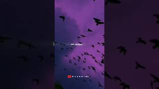 WhatsApp status Video Shorts 🥀 #youtubeshorts #shorts #short