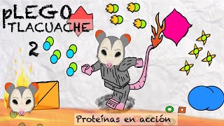 Proteínas en acción | Parte 2