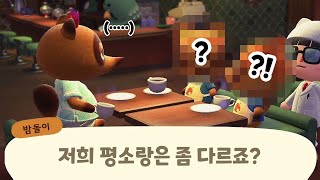 [모동숲] 콩돌이와 밤돌이를 카페로 불렀을 때 발견한 신기한 사실 🧪 동숲 마스터 카페 실험