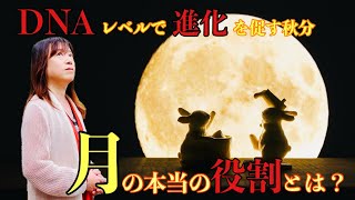What is the true role of the autumnal equinox moon in promoting evolution at the DNA level?