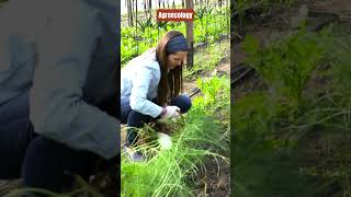 Harmonizing Agriculture with Nature 🌿