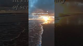 Find peace in the chaos, for within your own breath lies the sanctuary of serenity.