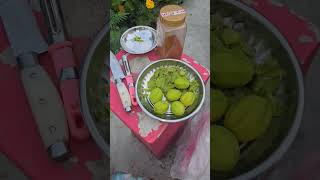 গাছের আমড়া মাখা😋🤤 #garden #gardening #fruit #fruitgarden #hogplum #amramakha #shortvideo