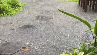 🌧️ Heavy Rain on the Path • Natural Relaxing Rain Sounds for Sleep & Meditation