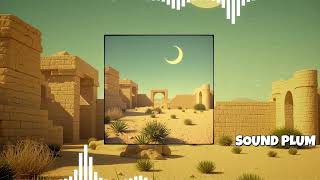 Whispers of Sand | Traditional Persian Acoustic Instrumental Music