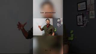 Proteínas en acción | Parte 2 #proteinas #biologia #bioquímica