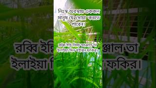 নিঃস্ব অবস্থায় যে দোয়া করতে পারেন | #আবু_ত্বহা_মুহাম্মদ_আদনান #shorts #shortsfeed #islamerkothabd