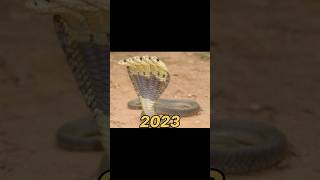 five headed cobra 2023 vs five headed cobra 250 million years ago #shorts #viral #shortvideo #edit