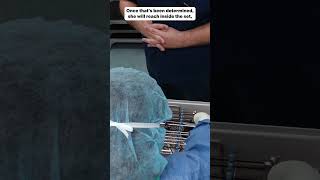 Opening Sterile Surgical Instrument Containers #or #meded #surgicaleducation #surgicaltechnologist