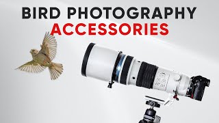 7 Wildlife Photography Gear You Must Have