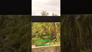 সোনারগাঁও পানাম নগর #bangla #india #indonesia @Foysal.Alif550