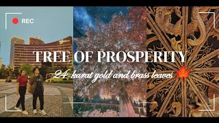 Golden Tree Show - Wynn Macau | FREE SHOW | FREE FOODS & DRINKS