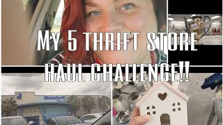 5 thrift store haul DIY