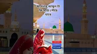 সত্যি কি আপনার আঙ্গুল টা পচেযাবে#islamicstatus #shortsvideo #islamic#alhamdulillah