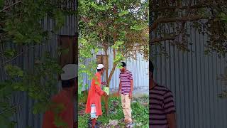 চৈত্র মাসের ফল ভাদ্র মাসে আইবো #funyvido #funny #comedy #fun #vairalshort #bdlelma