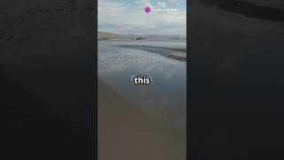 “Most Dangerous Place on Earth” –#ScaryFacts#NatureIsScary#LakeNatron#DidYouKnow#WeirdNature