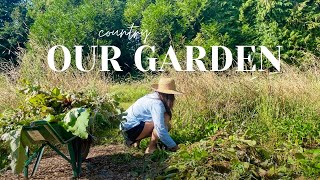 French Farmhouse Garden 🌿 | Too much too soon?