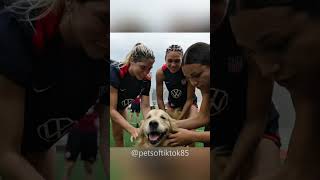 Dogs are a gift to mankind 💕#dog #doglover #fyp