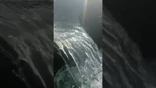 Waterfall#thikemonebhabestatus#viral#nature#naturelovers#shorts#video#new#status#lofi#reel#banglagan