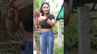Free তে গাছ পাওয়ার techniques🤩💁‍♀️🪴 #minivlog #shorts #viral #bangla #gardening #youtubeshorts