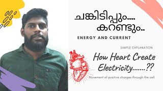 ചങ്കിടിപ്പും കറണ്ടും|How Heart Create Electricity..? #malayalam#science#heart