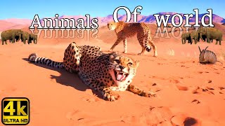 Rdk Sumon 4K | Calming Sounds & Bird Ambience | The Different World Of Animals