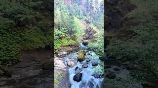 If the outdoors is your vibe, let’s be friends. #Hiking #Outdoors #freshair