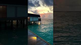 Atmosphere Kanifushi | Where Luxury Meets Nature