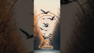 The Des Moines Duck Dynasty Mystery #MindBlown #WTFScience #CaceeCobb #UltraIndigo #HaitianMythology