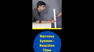 Nervous System - Reaction Time | ThinkTac | #YouTubeShorts #DIY #Short #DIYscience