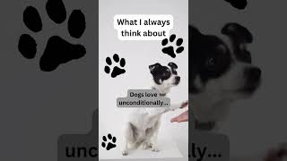 Unconditional Love: The Heartwarming Truth About Dogs 💖🐾
