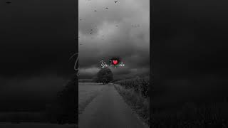 🫵❤️🥰 #tamil #tamillovestatus #lyrics #trending #shortsvideo #love #loves #shorts #shortvideo#mk