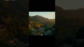 peace in nature 🌳 #shorts #cinematic #travel