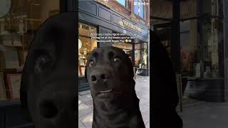 What do you mean I have to pay for them myself? #booktube #bookmeme #youtubeshorts