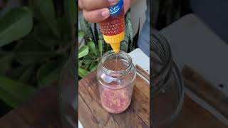 misture cebola com gengibre