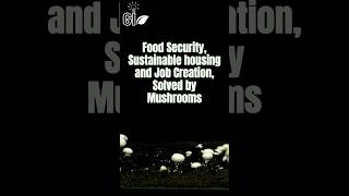 Food Security, Sustainable housing & Job Creation, Solved by Mushrooms #thefutureisnow #greeninsight