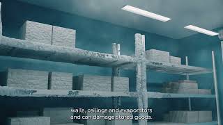 Stay safe with Munters dehumidification systems - the right solution for your cold storage
